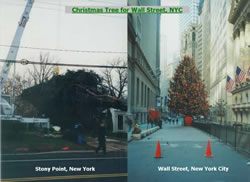 Christmas tree for Wall Street